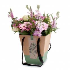 Cajita Pure Nature Verde 13Ax23Lx28Hcm (x5uds)