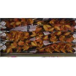 Cymbidium Cappuccino 80cm