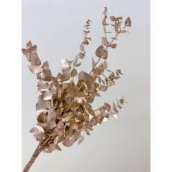 Eucalipto Cinerea Pintado "200gr" Champagne Metal