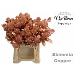 Skimmia Rubella Pintada Cobre 45cm "Paquete"