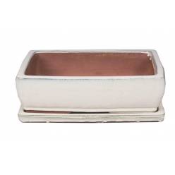 Bonsai Kofun con Plato 13.5x19x5Hcm