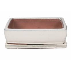 Bonsai Kofun con Plato 18.5x25x7Hcm