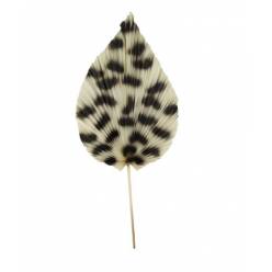 Hoja Palms Guepardo Natural 33x80Hcm