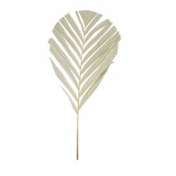 Hoja Flecha Natural 38x118Hcm