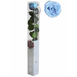 Rosa Preservada Verdissimo Azul Claro 5.5x55Hcm