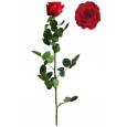 Rosa Preservada Verdissimo Rojo Granel 5.5x55Hcm