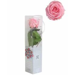 Rosa Preservada Verdissimo Rosa Claro 4x27.5Hcm