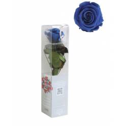 Rosa Preservada Verdissimo Azul Oscuro 4x27.5Hcm