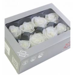 Rosa Preservada Verdissimo 8 Cabezas Blanca 4.5/5cm