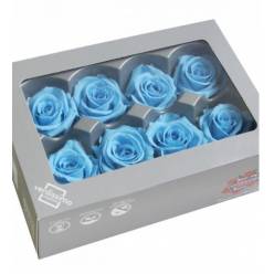 Rosa Preservada Verdissimo 8 Cabezas Azul Claro 4.5/5cm