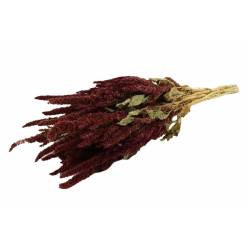 Amaranthus Seco Natural Rojo 120g