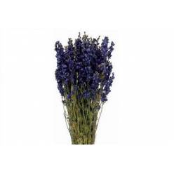Delphinium Seco Natural Azul 120g