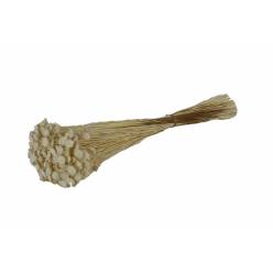 Glixia Seca Blanca 85g