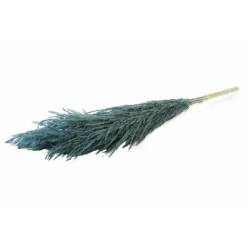 Plumas Pampa Grass Azul Claro 120cm (8 Tallos)