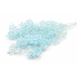 Ruscus Preservado Azul 65cm (5 tallos)