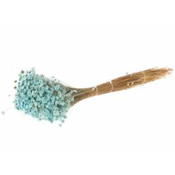 Glixia Seca Azul Claro 80g