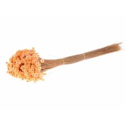 Glixia Seca Salmon 80g