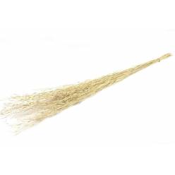 Berk Natural Seco 100g