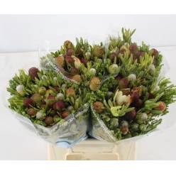 Safari Cone Mix 40cm (7 Dias - 2)