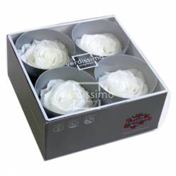 Rosa Preservada Verdissimo 4 Cabezas Premium Blanca 6.5/8.5cm
