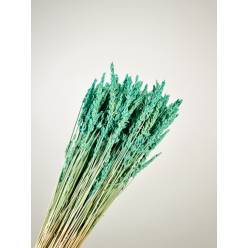 Lavanda Preservada Aguamarina 40cm 100g