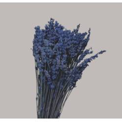 Lavanda Preservada 45cm 110g