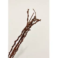 Ramaje Kiwi Natural 60cm (5 Tallos)