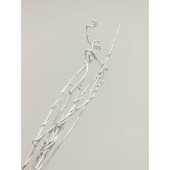 Ramaje Kiwi Blanco 60cm (5 Tallos)
