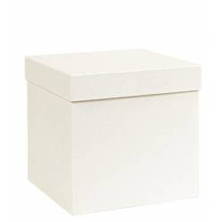 Caja Blanca 40x40x50Hcm