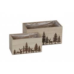 Caja Forest (Set 2uds)
