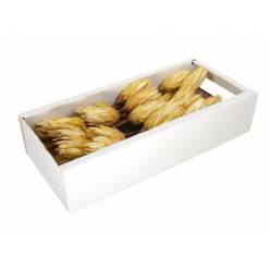 Protea Seca Crema (x30uds)