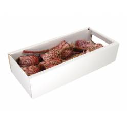 Protea Barbigera Seca Rosa (10 Tallos)