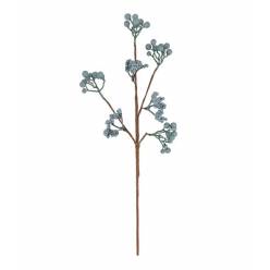 Rama Berries Aguamarina 30x50Hcm