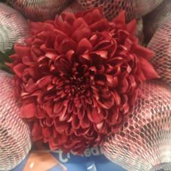 Uniflor Ecu. Velvet Red