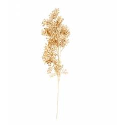 Rama Gold Leaves 24x78Hcm