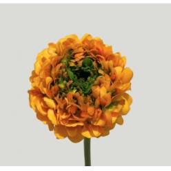 Ranunculos Italia Pon Pon Yellow 45cm