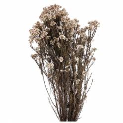 Flor de Arroz Preservada Blanca 50-60cm 120g