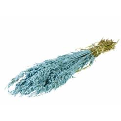 Avena Seca Azul Claro 65cm 250g