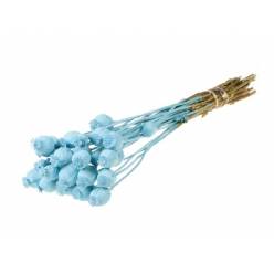 Papaver Seco Azul Claro 55cm 150g