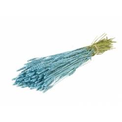 Trigo Seco Azul Claro 65cm 300g