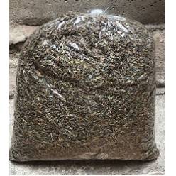 Lavanda en Grano 1Kg