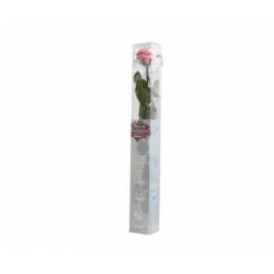 Rosa Preservada Verdissimo Rosa Claro 5.5x55Hcm