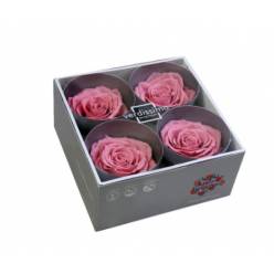 Rosa Preservada Verdissimo 4 Cabezas Premium Rosa Vintage 6.5/8