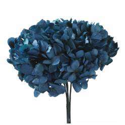 Hortensia Preservada Standard Azul Petroleo 18-25cm