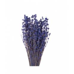 Lavanda Preservada 50cm 125g