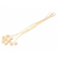 Craspedia Seca Blanca 55cm (10 Tallos)