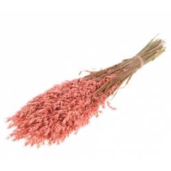 Avena Seca Rosa 65cm 200g