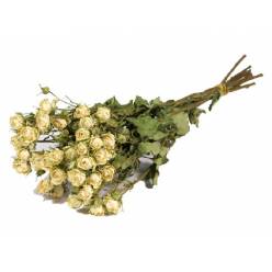 Rosa Ramificada Seca Blanca 45cm 60g