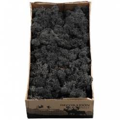 Caja Musgo Preservado Negro 500g