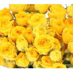 Ramificada Ramona 40cm